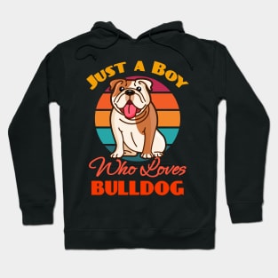 Just a Boy Who Loves Bulldog Dog puppy Lover Cute Sunser Retro Funny Hoodie